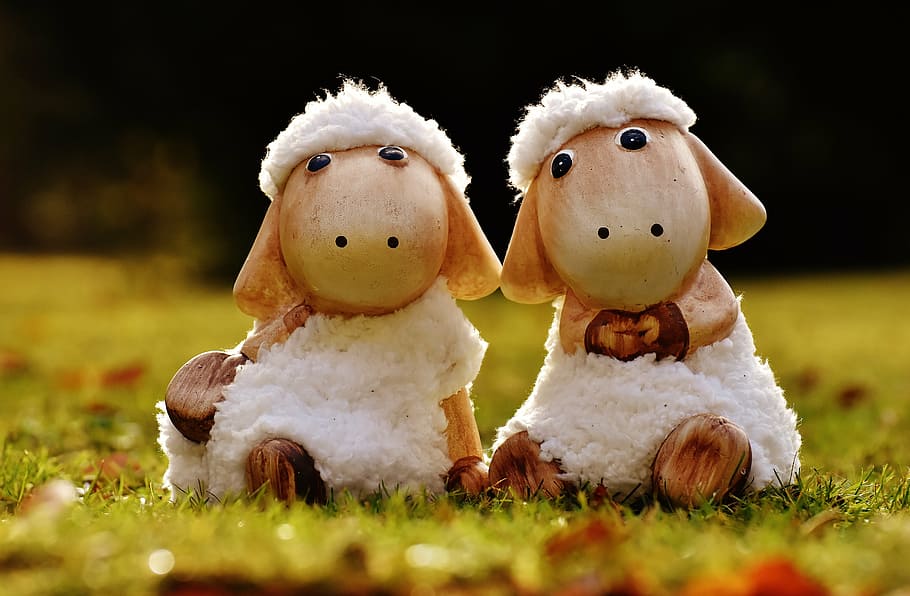 two white sheep figurines, deco, ceramic, cute, figure, soft toy HD wallpaper