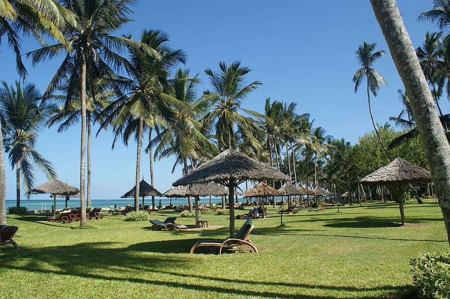 beach hut on green grass field, palms, holiday, kenya, vacation