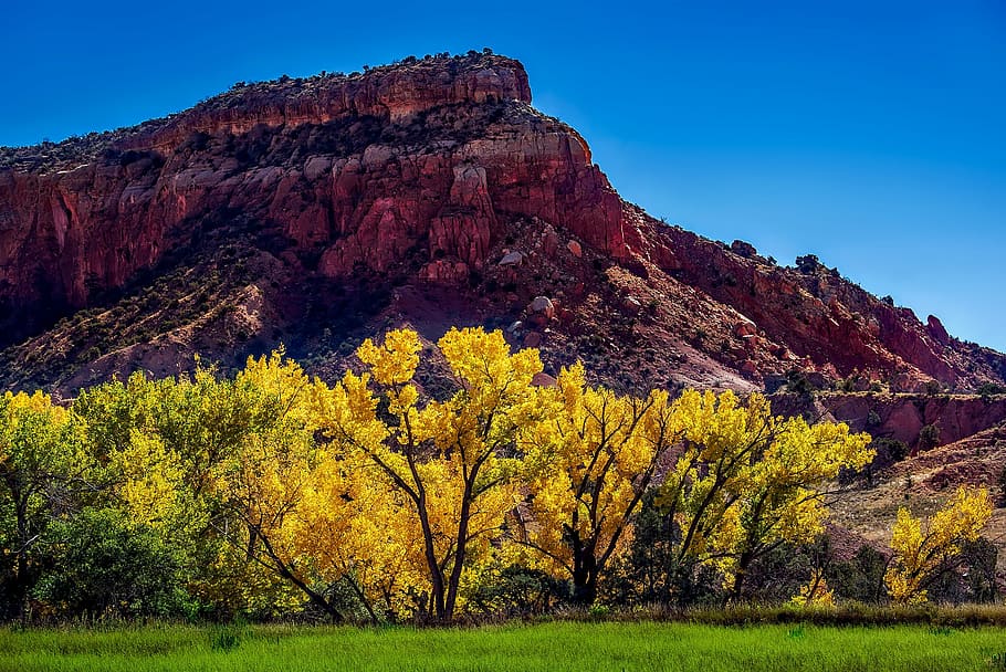 Hd Wallpaper Yellow Leafed Trees In Front Of Mountain New Mexico