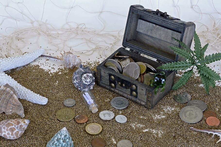 gray coin chest on brown sand, treasure chest, squid, palm, starfish, HD wallpaper