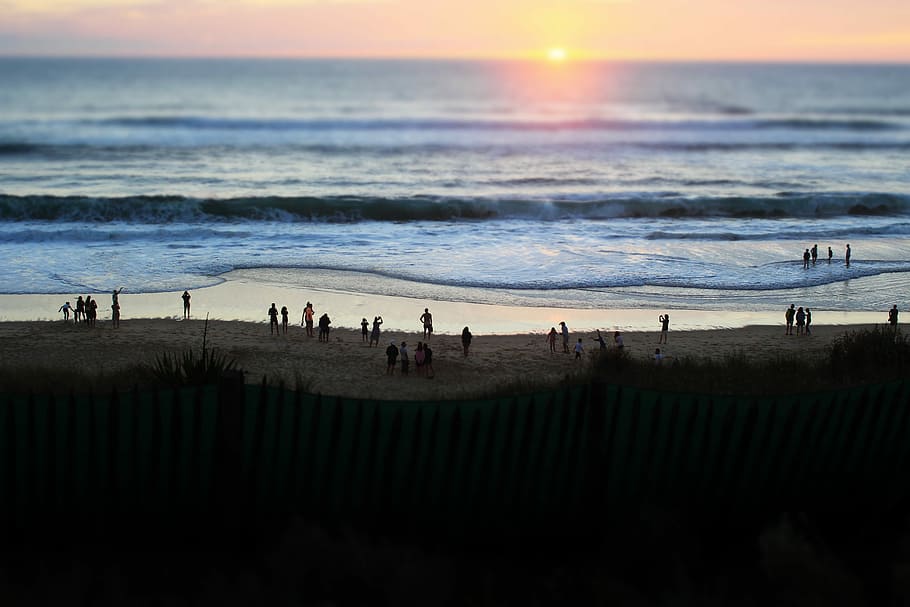 group of people standing on beach shore, silhouette of people on seashore HD wallpaper