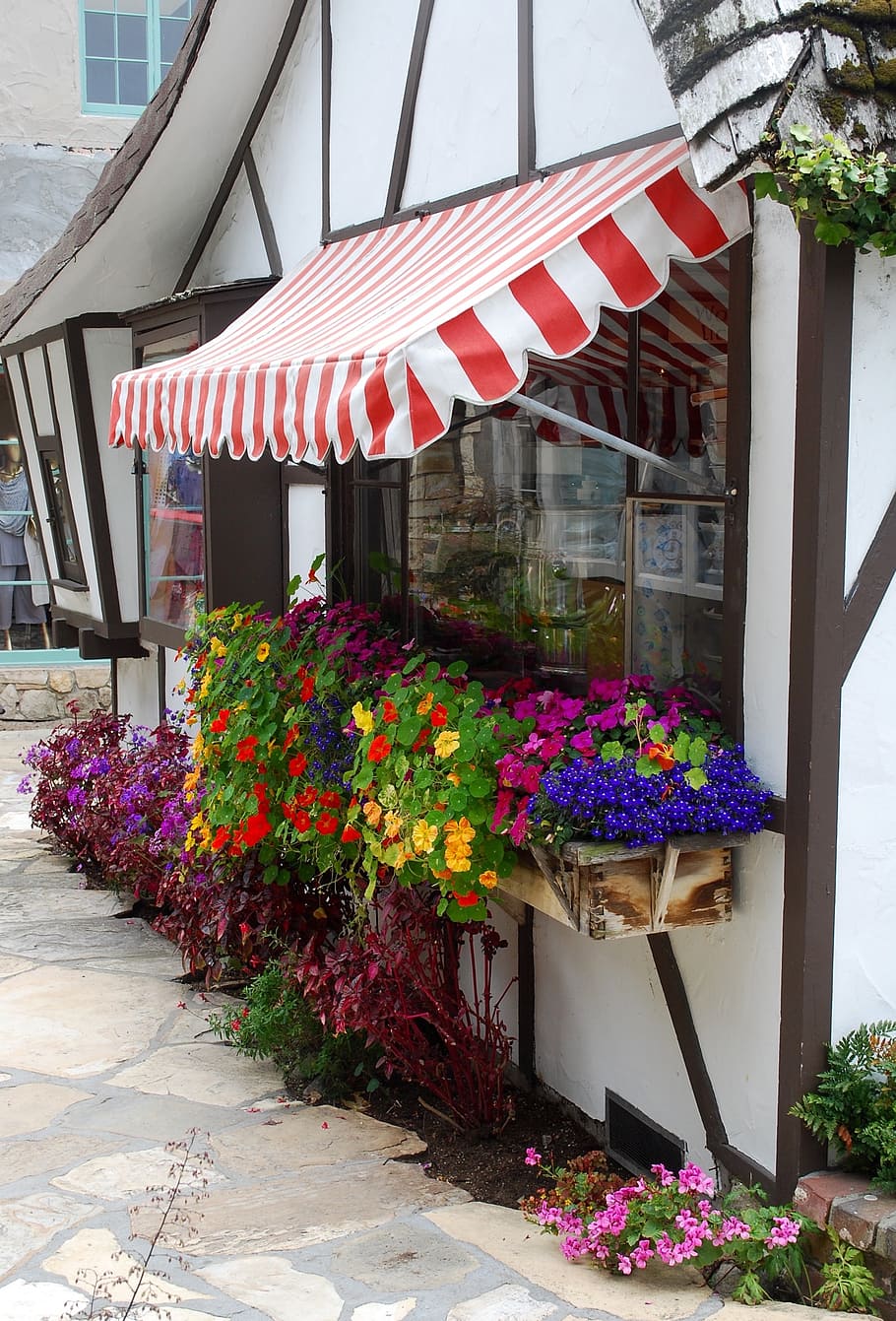 opened store with lowers, window box, awning, plant, tudor, exterior