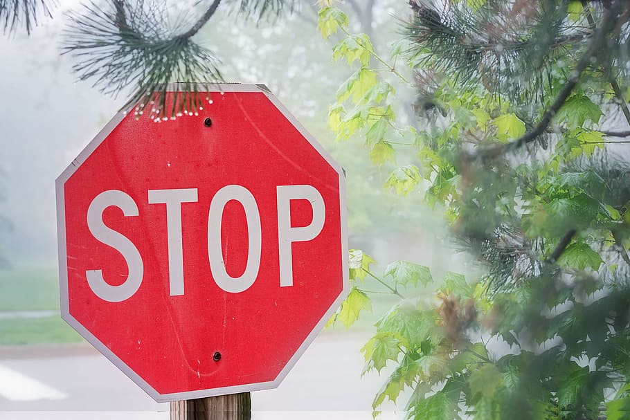 stop, sign, symbol, communication, red, road sign, text, stop sign HD wallpaper