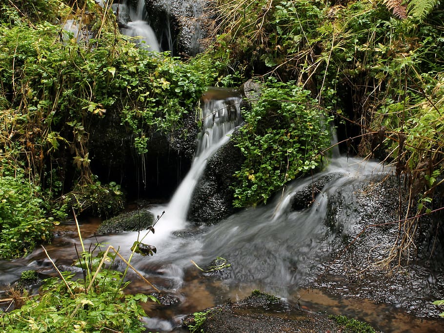 bourn, grass, water, waterfall, nature, stream, river, forest HD wallpaper