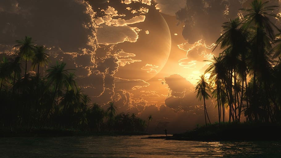 body of water between palm trees, nature, sunset, dawn, tropical climate HD wallpaper