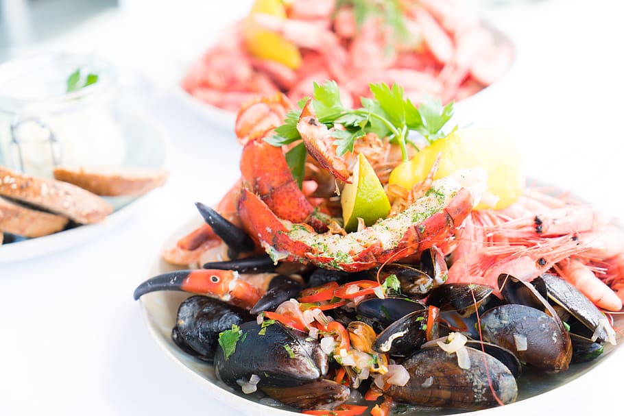 food, plate, lunch, meal, appetizer, crab, cuisine, delicious HD wallpaper