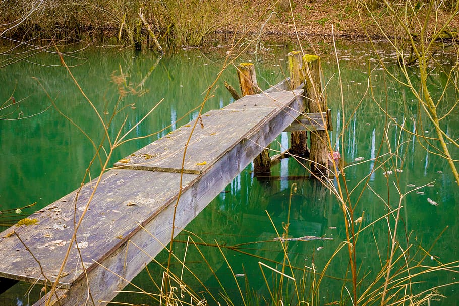 web, lake, pond, landscape, nature, waters, river, reflection HD wallpaper