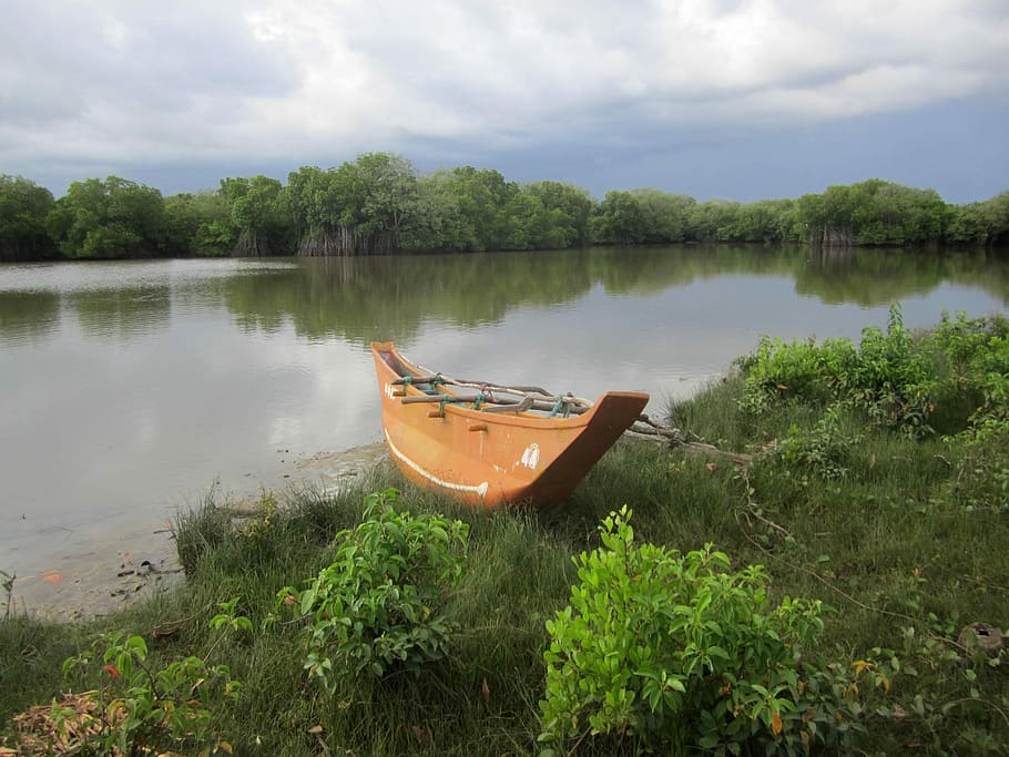 Lagoon, Boot, Fischer, Fish, Sri Lanka, beach, tropics, holiday HD wallpaper