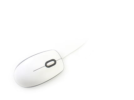 mouse, click bait, white, studio shot, copy space, white background HD wallpaper
