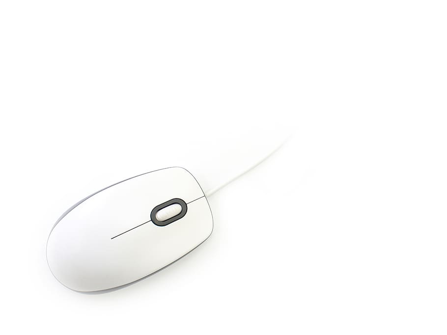 mouse, click bait, white, studio shot, copy space, white background HD wallpaper