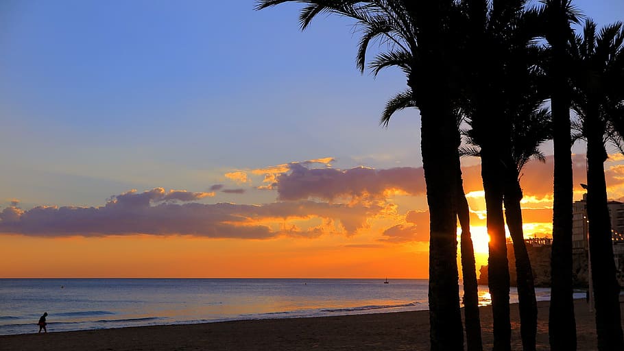 sunset, evening red, sea view, evening sky, twilight, evening sun HD wallpaper