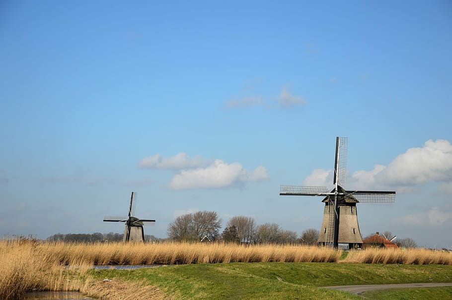 two wind mills on green grass field, Windmill, Holland, Tradition