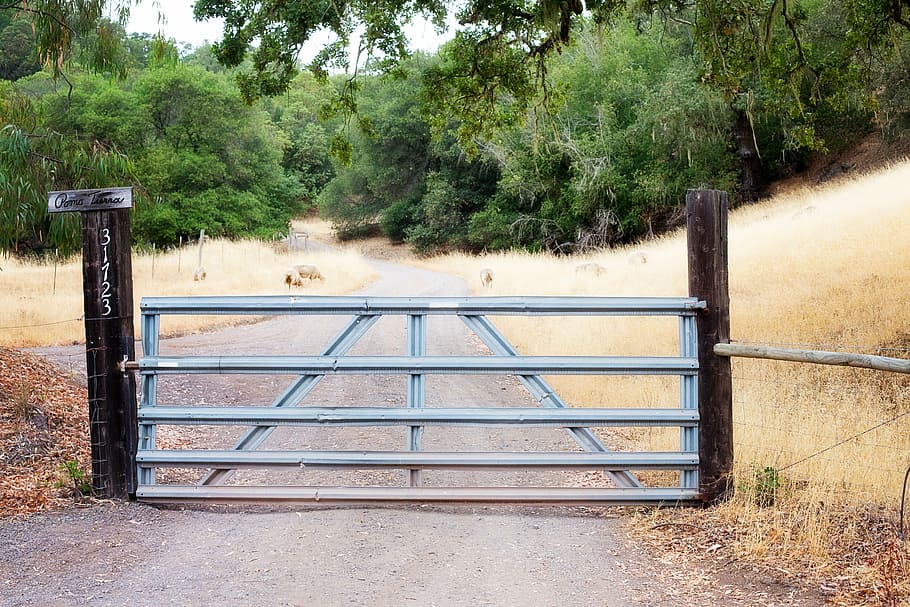 fence gate, rural, iron gate, country, natural, field, outdoor HD wallpaper