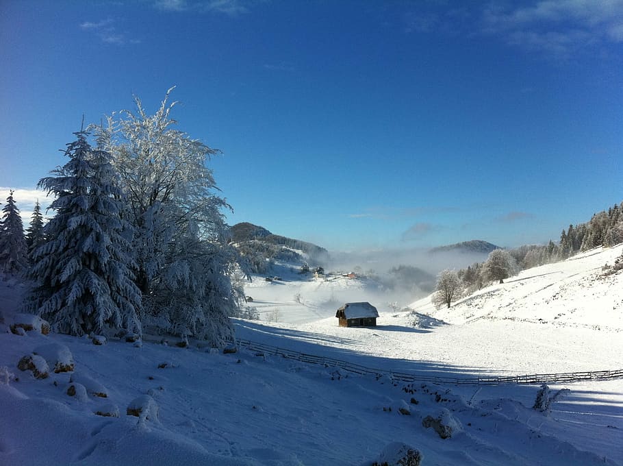 Winter, Mountain, Fundata, Snow, cold temperature, blue, nature HD wallpaper