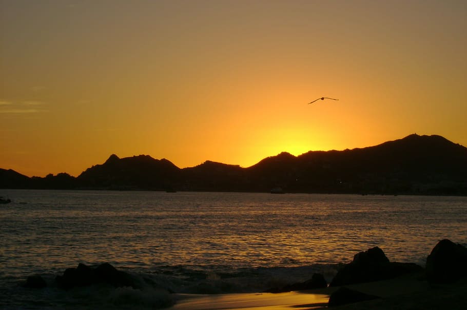 landscape photo of water and mountain, Beach, Sunset, Silhouettes