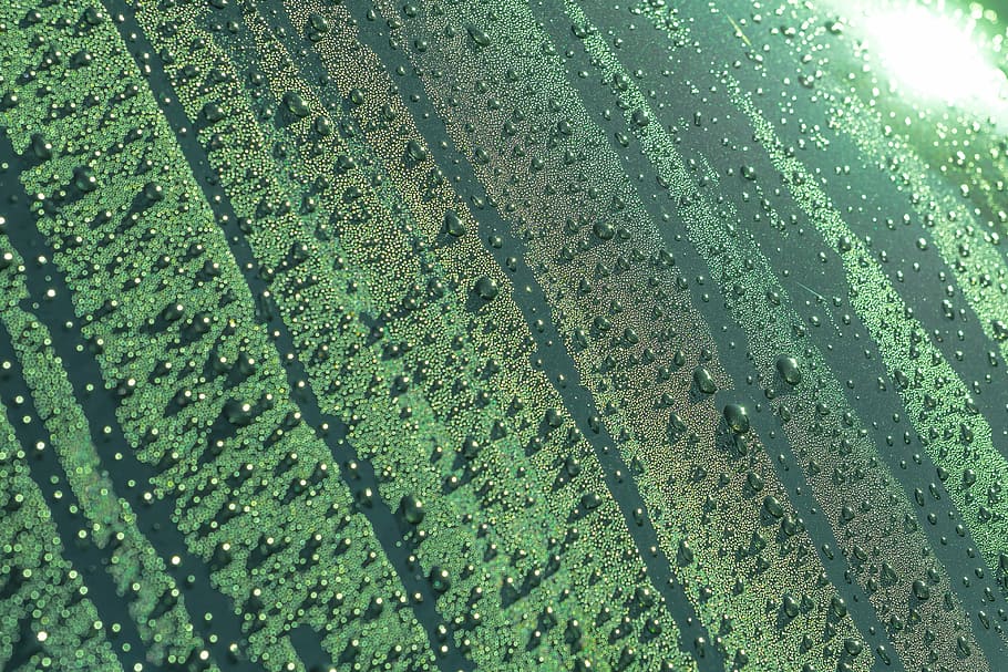 Drip, Dew, Thaw, Drop Of Water, liquid, close, wet, rain, blade of grass HD wallpaper