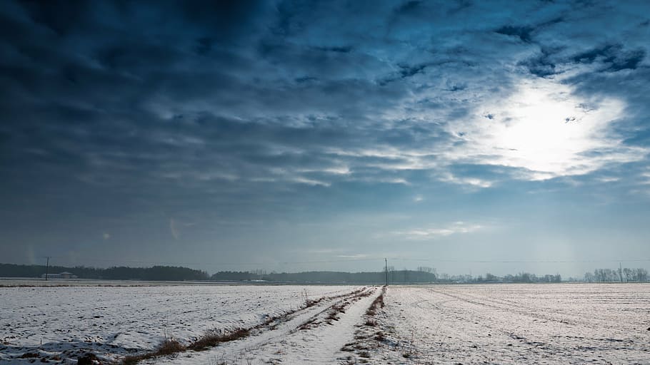 clouds, field, snow, winter, sky, cloud - sky, cold temperature HD wallpaper