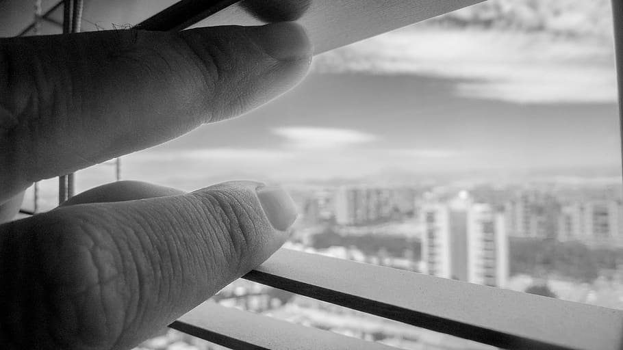 grayscale photo of person's hand opening window blind, house HD wallpaper