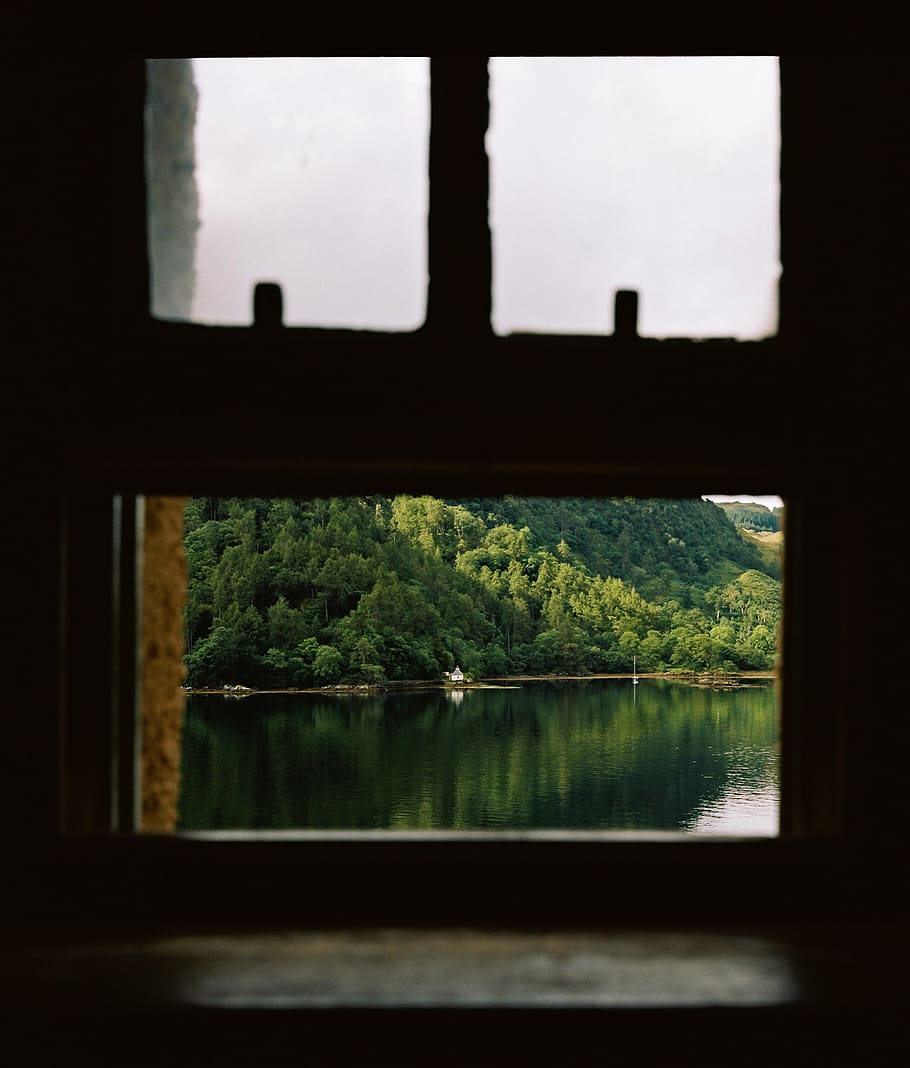 green trees near water view from window, green trees, lake, nature HD wallpaper