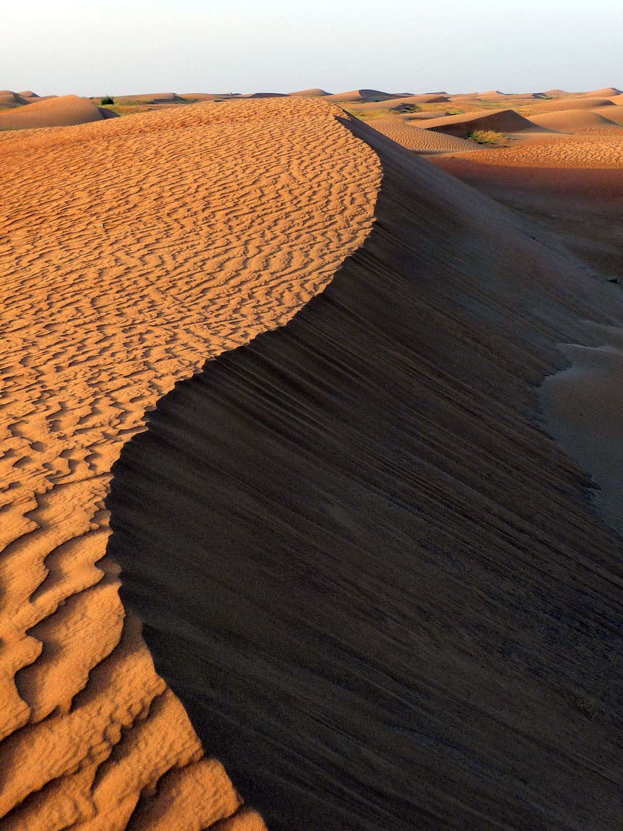 Desert, Dune, Sand, Structure, Comb, sand dune, arid climate HD wallpaper