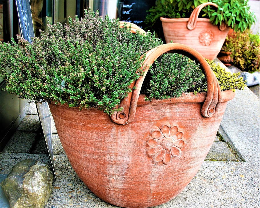 flower pot, clay, basket, plant, decorative, decoration, walkway, HD wallpa...