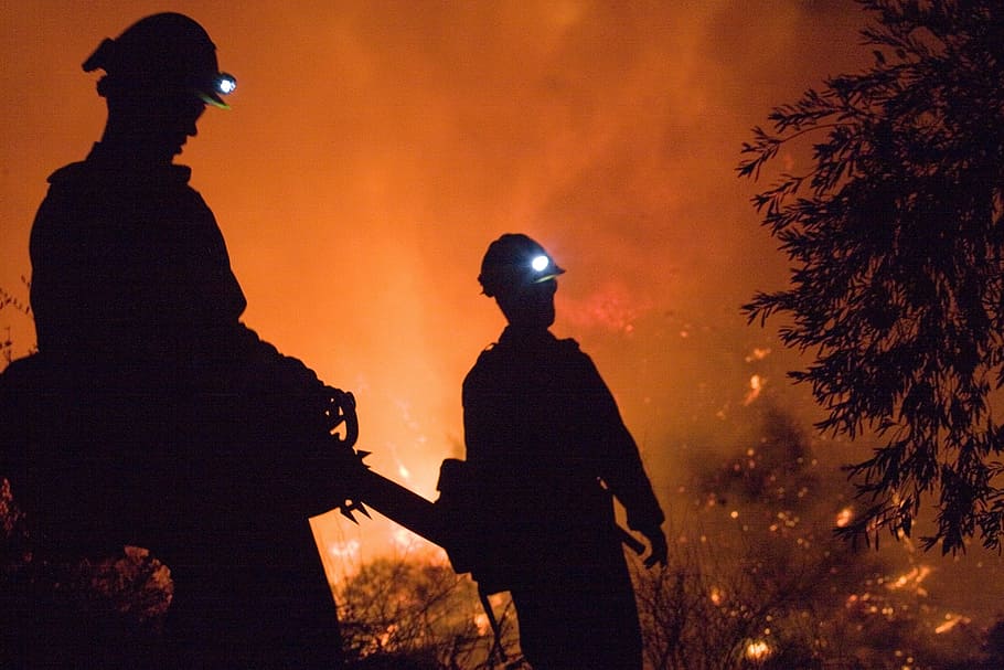 silhouette photo of two firefighters during forest fire, fire fighters