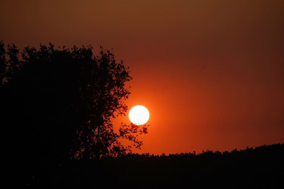 full moon photography, sunset, twilight, evening, sky, nature HD wallpaper