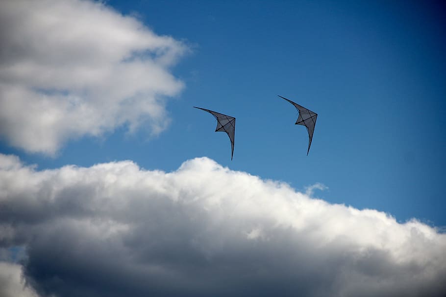 dragons, sky, dragon rising, fly, cloud - sky, flying, animal themes HD wallpaper