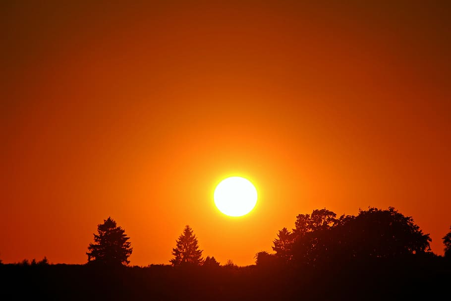 silhouette of trees during sun set, sunset, sky, abendstimmung HD wallpaper