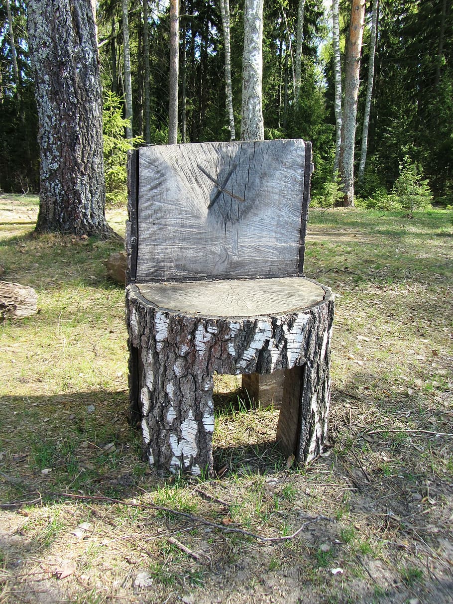 chair, forest, tree, plant, wood - material, land, nature, day HD wallpaper