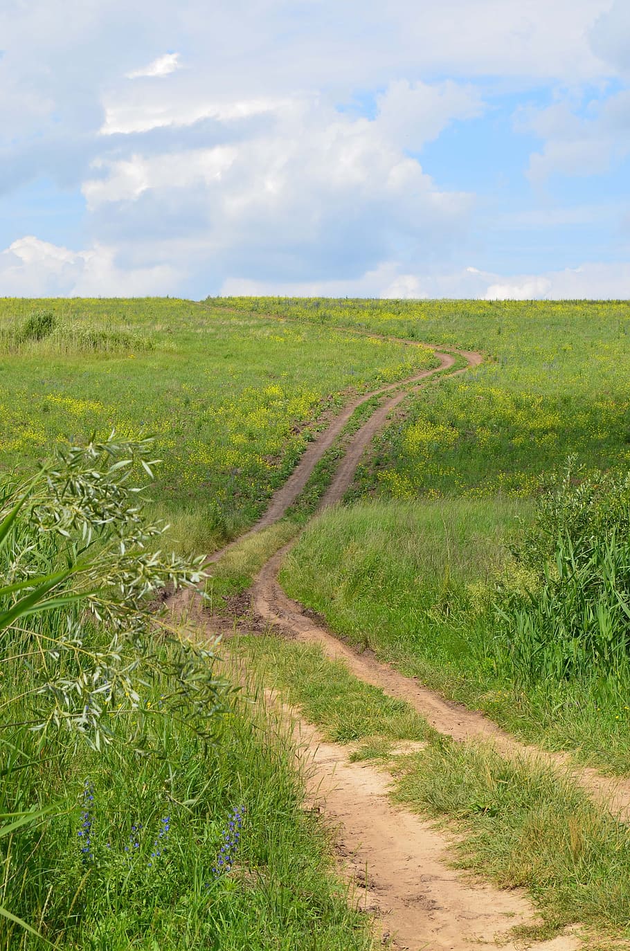 field, hill, road, sky, clouds, nature, landscape, summer, tree HD wallpaper