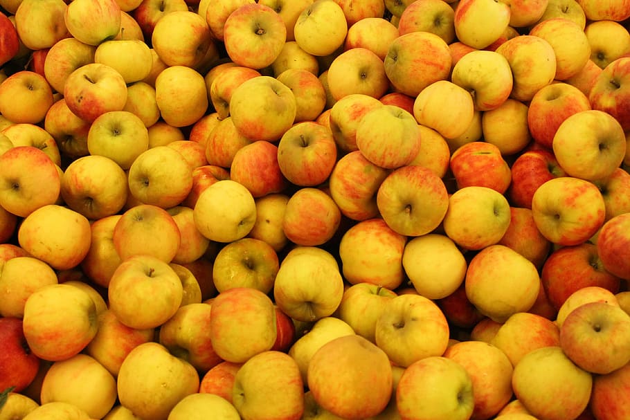apples, red, red apple, fruit, food, nature, healthy, diet HD wallpaper