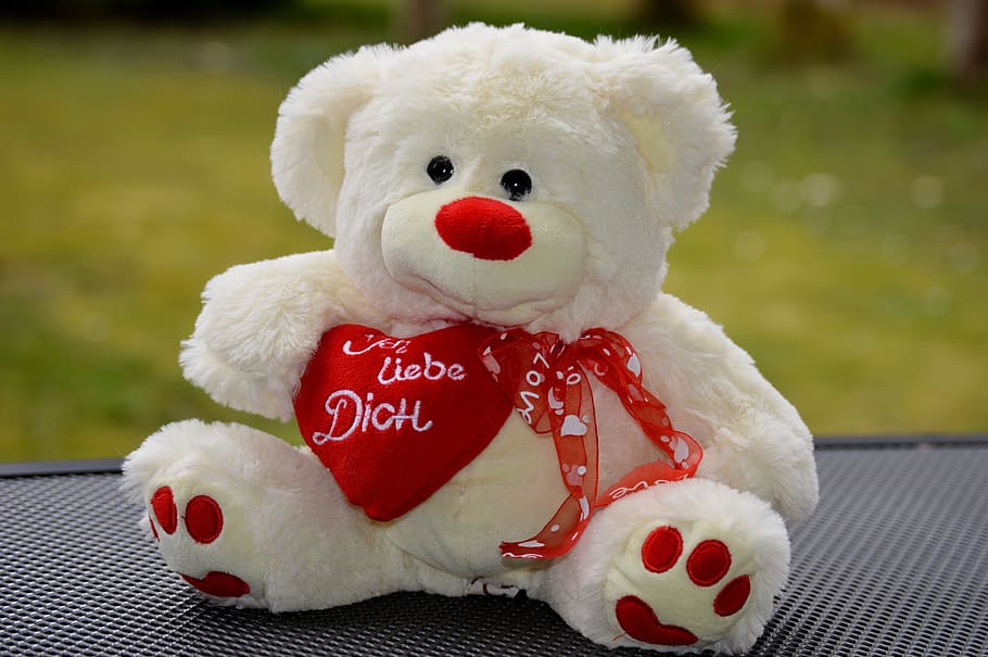 bear, bears, teddy, plush, cute, sweet, funny, love, valentine's day HD wallpaper