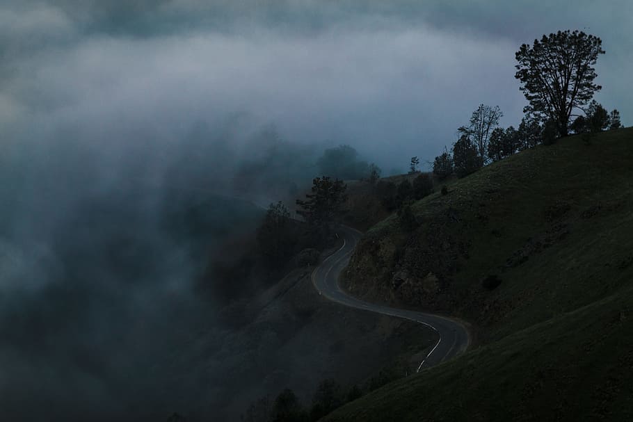 concrete road on hill with trees covered in fogs, asphalt road surrounded with fog HD wallpaper