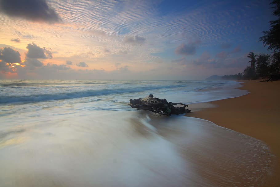 sea, dawn, landscape, nature, beach, driftwood, dusk, evening HD wallpaper