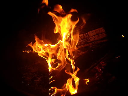 wood with fire at night time, campfire, burning, flame, bonfire HD wallpaper