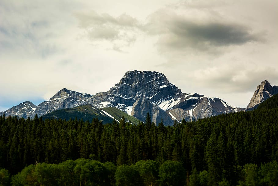 tall green trees and mountains under white sky during daytime, landscape photography of mountain range and tree HD wallpaper