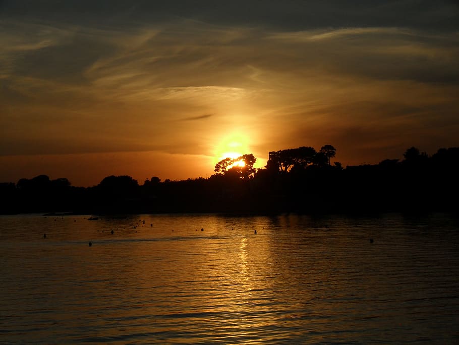 sunset, sea, evening sky, trees, silhouettes, water, scenics - nature HD wallpaper