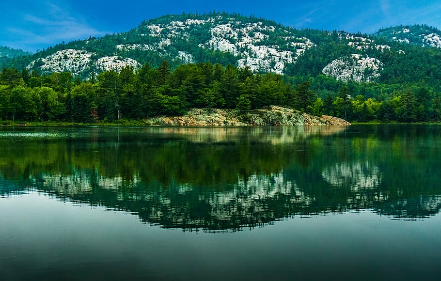 bright, dawn, daylight, environment, forest, idyllic, lake HD wallpaper