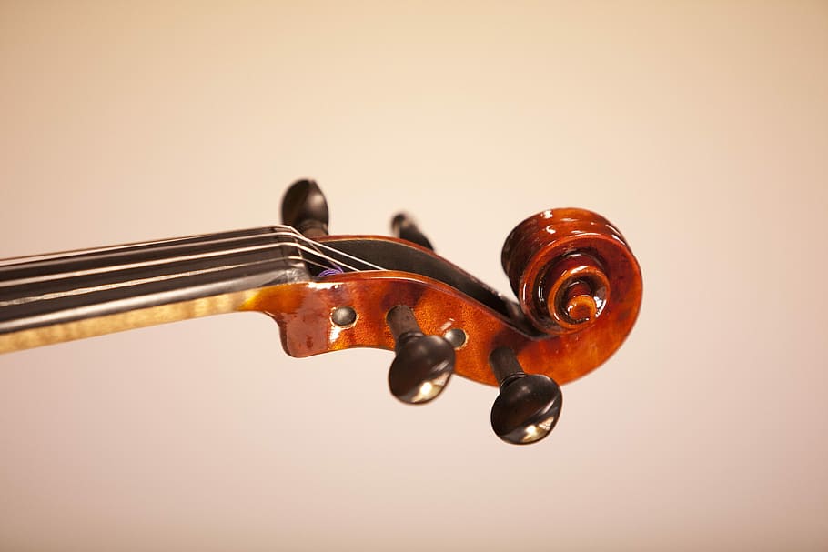 brown violin headstock, Music, Instrument, Classic, played, hobby, HD wallpaper