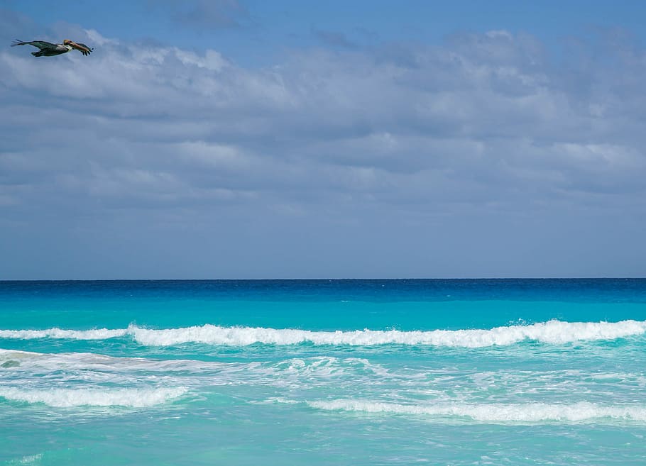 Ocean, Cancun, Mexico, Bird, Waves, Sky, clouds, beach, sea HD wallpaper