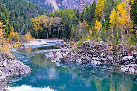 green body of water near green trees during daytime, photo HD wallpaper