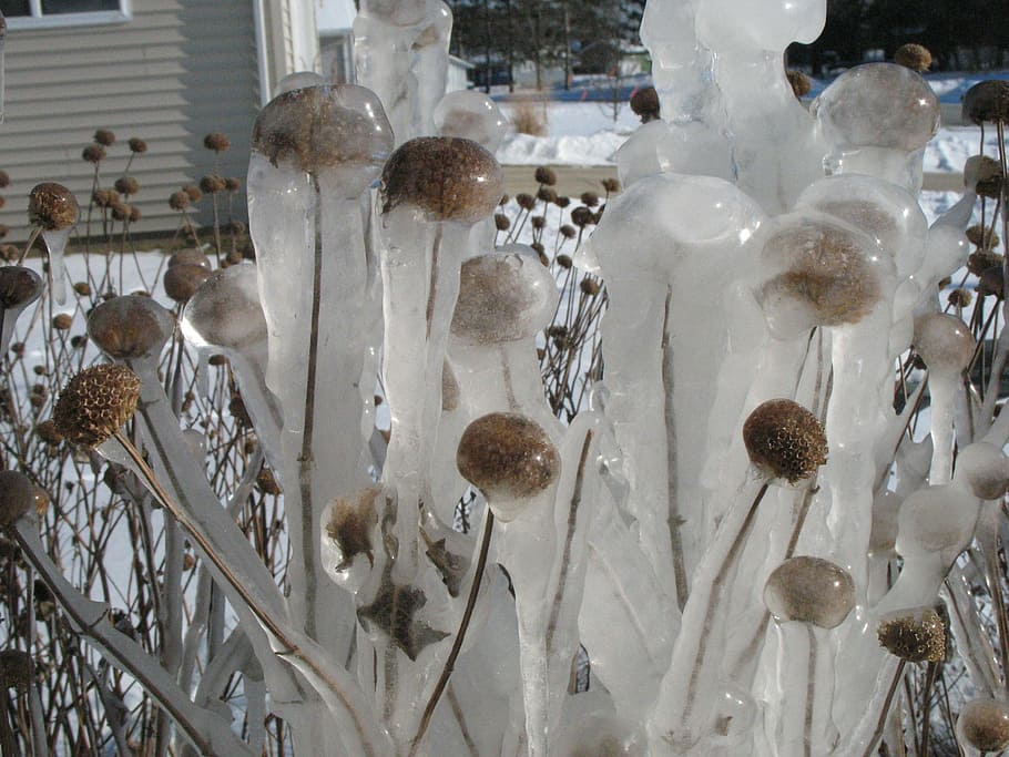 winter, ice, cold, white, nature, frozen, season, large group of objects HD wallpaper