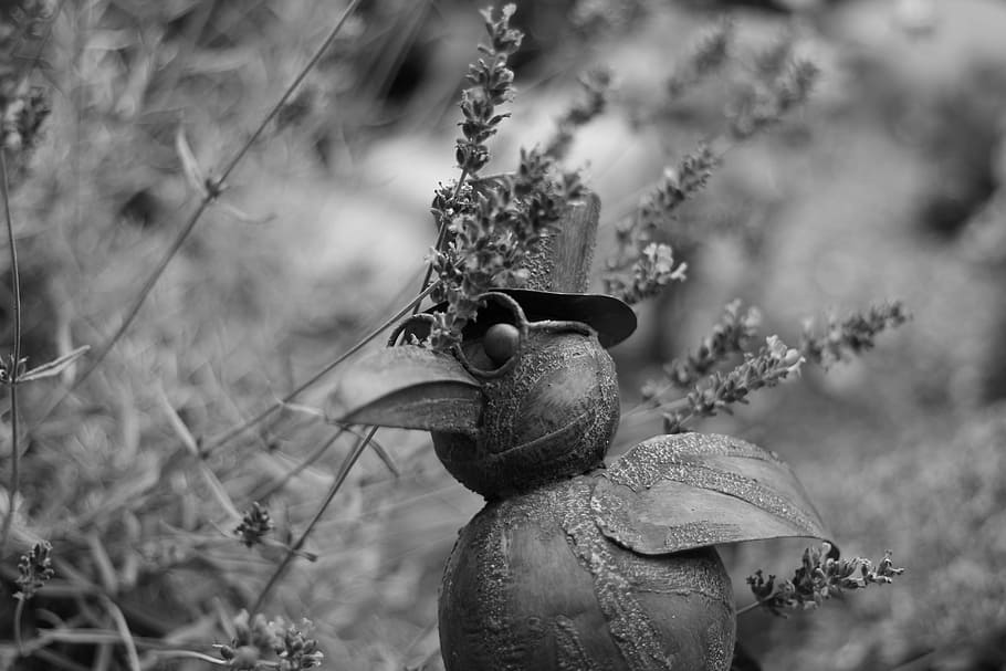 Bird, Sheet, Glasses, Deco, Decoration, figures, outdoor, artwork HD wallpaper