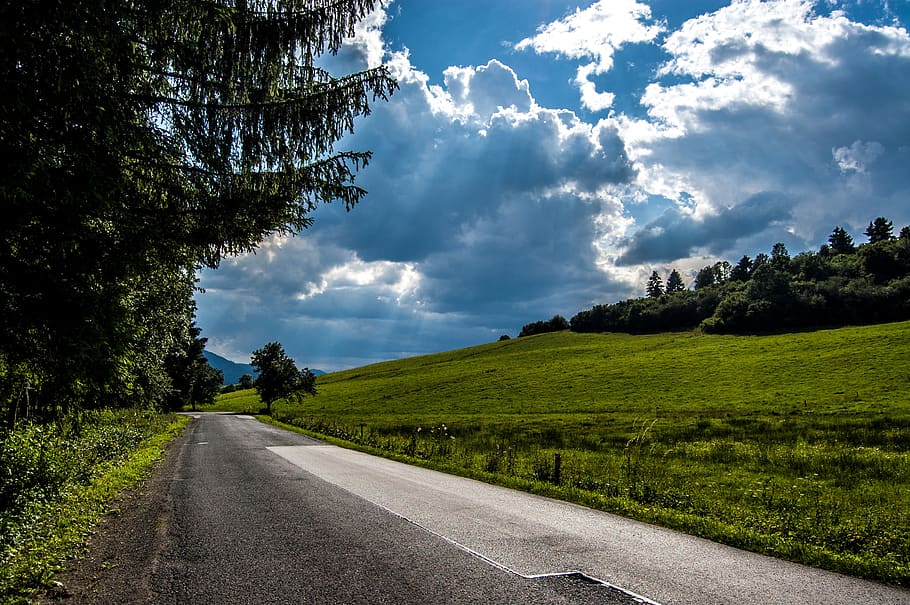 trees, forest, path, meadow, clouds, heaven, plant, road, cloud - sky HD wallpaper