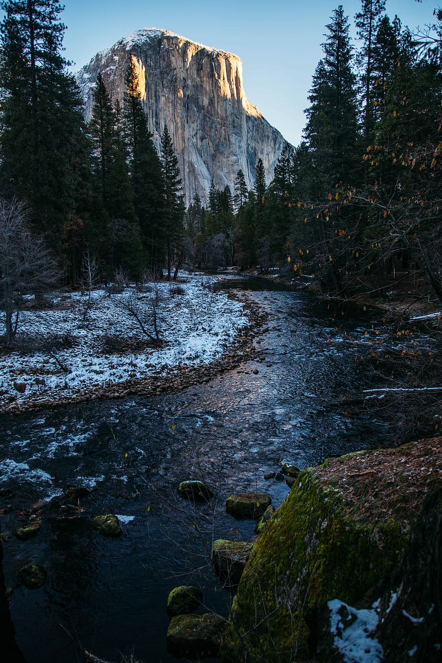 body of water during daytime, river near trees and mountain, rock HD wallpaper