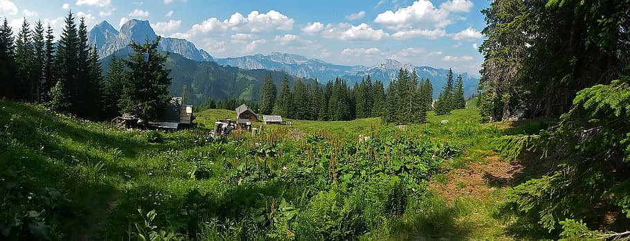 green trees during daytime, Nature, Mountains, Alps, landscape HD wallpaper