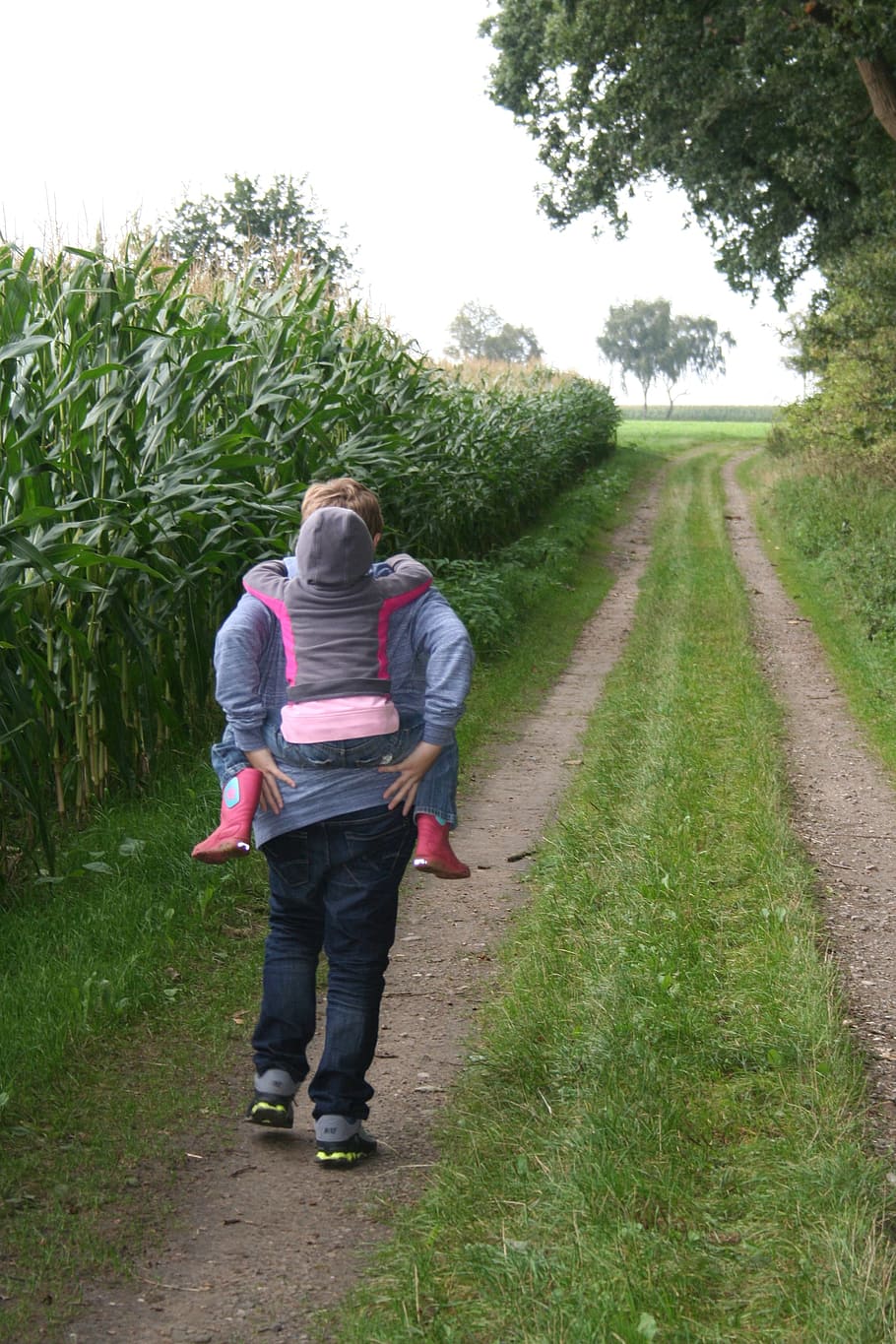 brothers and sisters, piggyback, hiking, children, family, walk, HD wallpaper