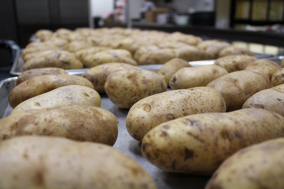 potato, food, vegetable, kitchen, baked potato, healthy foods HD wallpaper
