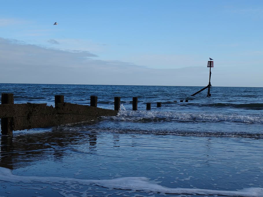 waves, seagull, perch, ocean, beach, seascape, sky, water, coast HD wallpaper